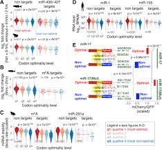 Dna is made up of nucleotides consisting of the sugar. Crosstalk Between Codon Optimality And Cis Regulatory Elements Dictates Mrna Stability Genome Biology Full Text
