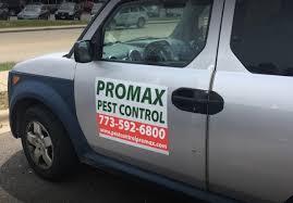 Anderson pest solutions understands the pest issues that often arise throughout the urban area, and we're the pest control company in chicago that's. 5 Best Pest Control Companies In Chicago Top Pest Control Companies