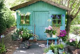 About six species have been bred for cultivation as ornamental. Blog How To Grow Dahlias In Pot