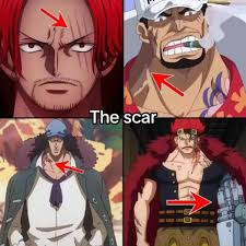 How Did Luffy Get His Scar