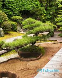 Reiun In Temple Garden 01 This Is From A Charity Photographic Exhibition Japanese Gardens Held By Artsha Japanese Garden Modern Japanese Garden Japan Garden