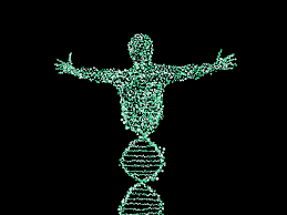 Fragile X Syndrome And Its Genetic Implications Boundless
