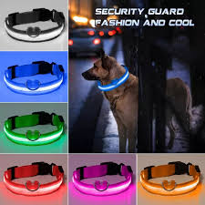 Adjustable Nylon Pet Led Light Up Dog Leash Collar Night Safety Brand Flashing Glow Dog Collars In The Dark Pet Supplies Collars Aliexpress