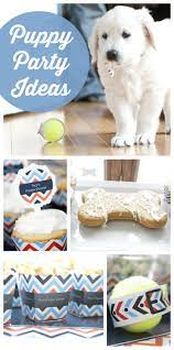 Pin On Parties For Kids