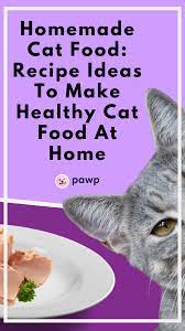 Homemade Cat Food Recipe Ideas To Make Healthy Cat Food At Home Homemade Cat Food Healthy Cat Food Homemade Cat