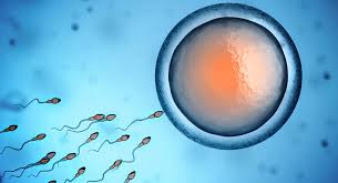 This is called ovulation induction. Intrauterine Insemination Iui Babycentre Uk