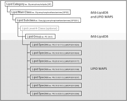 Find hundreds of english translated light novels which are daily updated on novelonlinefull.com! Lipidomic Analyses Of Mycobacterium Tuberculosis Based On Accurate Mass Measurements And The Novel Mtb Lipiddb S Journal Of Lipid Research