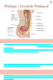 Antes da cirurgia citorredutora com ressecção do peritônio parietal (membrana que recobre a parede abdominal) e o uso da quimioterapia intraperitoneal . Peritonio E Cavidade Peritoneal Anatomia Humana I