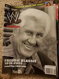 Vintage WWF/WWE Magazine Lot Triple H Brock Lita Kane Stone Cold Goldberg  Sable