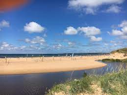 Läs omdömen och välj din semesterbostad ur ett stort utbud av hus, lägenheter och ännu mer. Tylosand Strand Picture Of Tylosand Strand Halmstad Tripadvisor