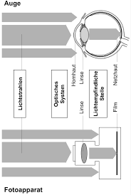 Maybe you would like to learn more about one of these? Https Augenklinik Charite De Fileadmin User Upload Microsites M Cc16 Augen Cbf Studium Praktikum Skript1 Pdf