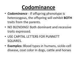 In codominance, however, neither allele is recessive and the phenotypes of both alleles are expressed. Codominant Traits In Humans