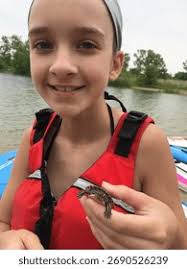 5+ Hundred Turtle She Royalty-Free Images, Stock Photos & Pictures