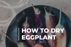 When i want eggplant here, i have to buy it. How To Store Eggplant Detailed Guide Beezzly