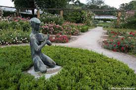Check spelling or type a new query. Rosengarten Im Botanischen Garten Kassel
