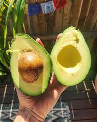 Mana Wellness Alexis Sabatino Mana Wellness Instagram Photos And Videos Healthy Fats Hormone Health Healthy