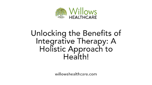 Image result for Higher Integrative Function