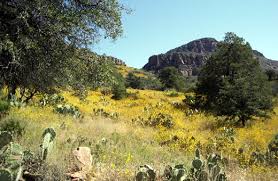 Maybe you would like to learn more about one of these? Tonto National Forest Camping Cabins Dispersed Camping