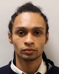 The 17 despicable West London criminals locked up in July