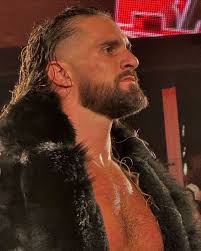 Standing ovation for Rollins after #RAW went off the air. 👏🏼 He deserves  it. #SethRollins #WWE (📸 @brocklesnarguy)