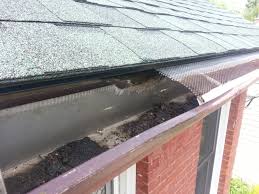 Once in your attic, they will not only use it as a literal breeding ground. How Do Squirrels Get Into Houses Skedaddle