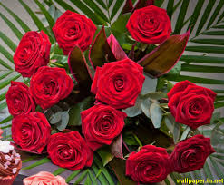 Maybe you would like to learn more about one of these? Rose Wallpapers Download Wallpaper Cave