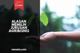 10 Alasan Memilih Jurusan Agribisnis Bagi Yang Bingung Mau Kuliah Apa