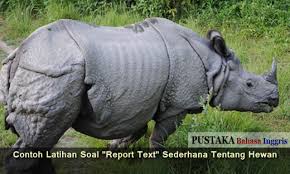 What they teach you will help you improve your grades. Contoh Latihan Soal Report Text Sederhana Tentang Hewan