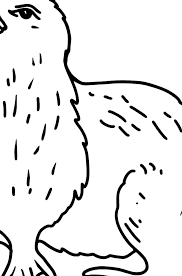 Platypus coloring pages are a fun way for kids of all ages to develop creativity, focus, motor skills and color recognition. Platypus Coloring Page Color Online For Free