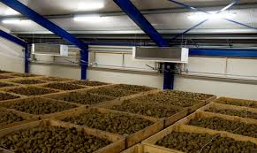 Pin On Kyabram Refrigeration