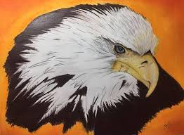 Pin By Mark Mather On Logos Sports In 2020 Eagle Art Fungi Art Rock Art