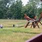 Art Making on the Land: A Monthly Walking Tour