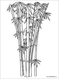 For the little ones coloring book. Bamboo Tree Coloring Pages Coloringbay