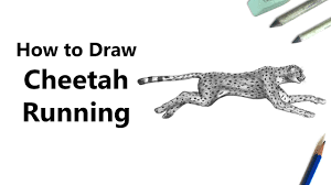 It is distinguished by the black tear markings that run down from the eyes. How To Draw A Cheetah Running With Pencils Time Lapse Youtube