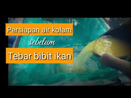 Pin On Ikan