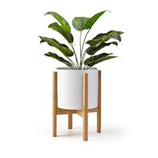 Our variety of indoor plant pots ensures you'll please your plants and suit your style. Buy Lana Mae Wooden Plant Stand Bamboo Modern Home Decor Piece For Indoor Use Only Plant And Pot Not Included Adjustable For A Range Of Plant Pot Sizes
