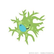 Cartoon Neuron Auf Twitter An Iconaster Sea Star The Ink Drawing For It That You Can Colour If You Need Some Quaratineart Distraction Sciart Echinoderm Https T Co Wldpixdzkn Free cartoon clip art images & graphics.
