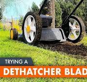 I wrecked the lawn with this detaching blade.