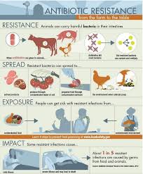 By Serving Antibiotic Free Meat Wisconsin Hospitals Try To Keep Superbugs At Bay Wisconsin Public R Human Grade Dog Food Antimicrobial Resistance Antibiotic