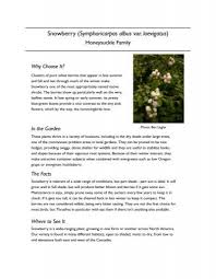 Inconspicuous, they are of great interest to butterflies, hummingbirds and. Snowberry Washington Native Plant Society