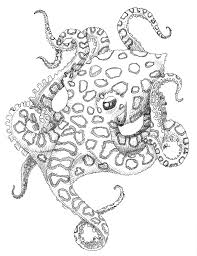 30 interesting ancient art tattoo. Octopus Tattoo Designs The Rock Menagerie Of Art