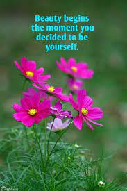 Pin By Shizen On Beautiful Messages Quotes Message Quotes In This Moment Messages