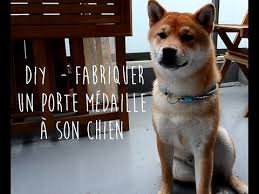 Diy 15 Minutes Pour Confectionner Un Porte Medaille Printanier A Son Chien Diy Pour Chien Medaille Chien Impermeable Pour Chien