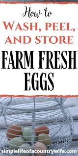 How To Care For Farm Fresh Eggs Fresh Eggs Farm Fresh Eggs Farm Fresh