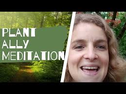 Plant ally meditation