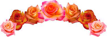 Flowercrown Flower Crown Headpiece Headband Pretty Rose Roses Beautiful Freetoedit Remixit Flower Crown Headpiece Flowers Rose