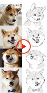 49 Great Pics And Memes To Improve Your Mood In 2020 Animal Drawings Cartoon Drawings Dog Drawing