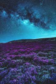 If you're in search of the best night sky wallpaper, you've come to the right place. Mystical Night Sky Photography Sky Aesthetic Sky Photography