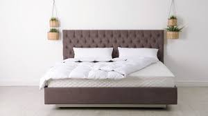 Platform beds can be longer and wider than your mattress if you prefer that look for your bed. How To Choose A Box Spring 4 Benefits Of Box Springs 2021 Masterclass