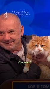 Why is this cat more accomplished than us? Happy International Cat Day, we  guess... #CatsDoesCountdown